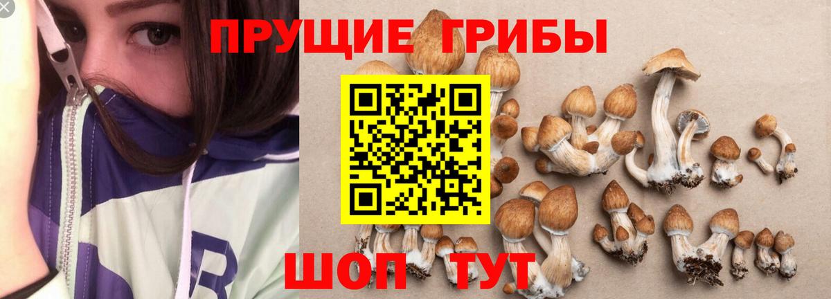 Псилоцибиновые грибы мухоморы Липецк