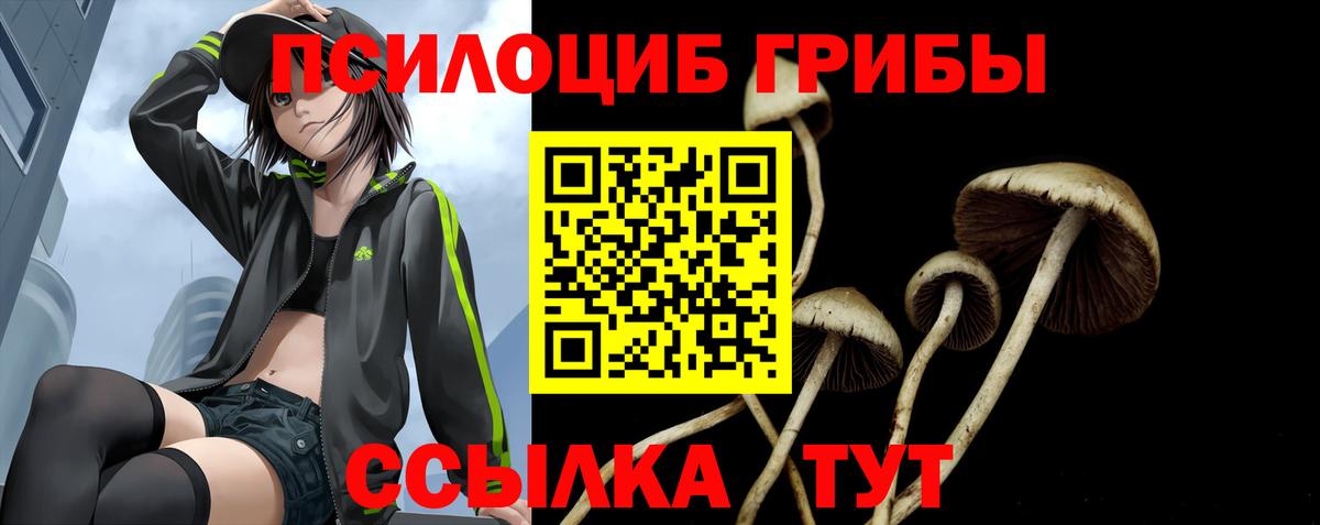 Галлюциногенные грибы мухоморы  сколько стоит  Галлюциногенные грибы Cubensis  Липецк  Вход с VPN 